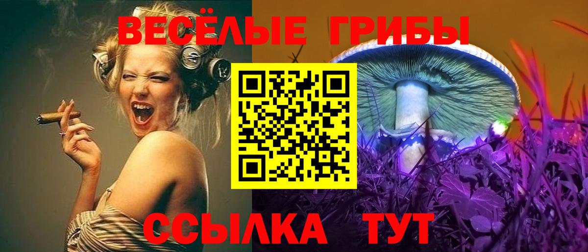 Галлюциногенные грибы Psilocybine cubensis  Вход с VPN  Псилоцибиновые грибы Psilocybine cubensis  Солнечногорск 
